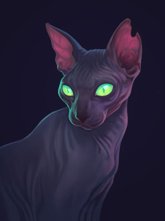 Image de Dame Lapiz